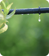 water dripping from irrigation line