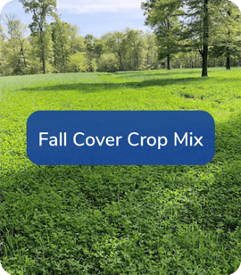 Fall-Cover-Crop-Mix