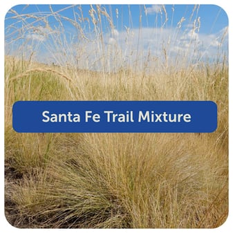 Santa Fe Trail Mixture