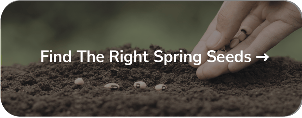 find the right spring seeds