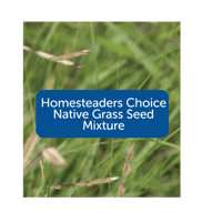 homesteaders choice native grass