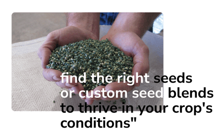 hands holding seeds with a quote that says find the right seeds or custom seed blends to thrive in your crop's conditions