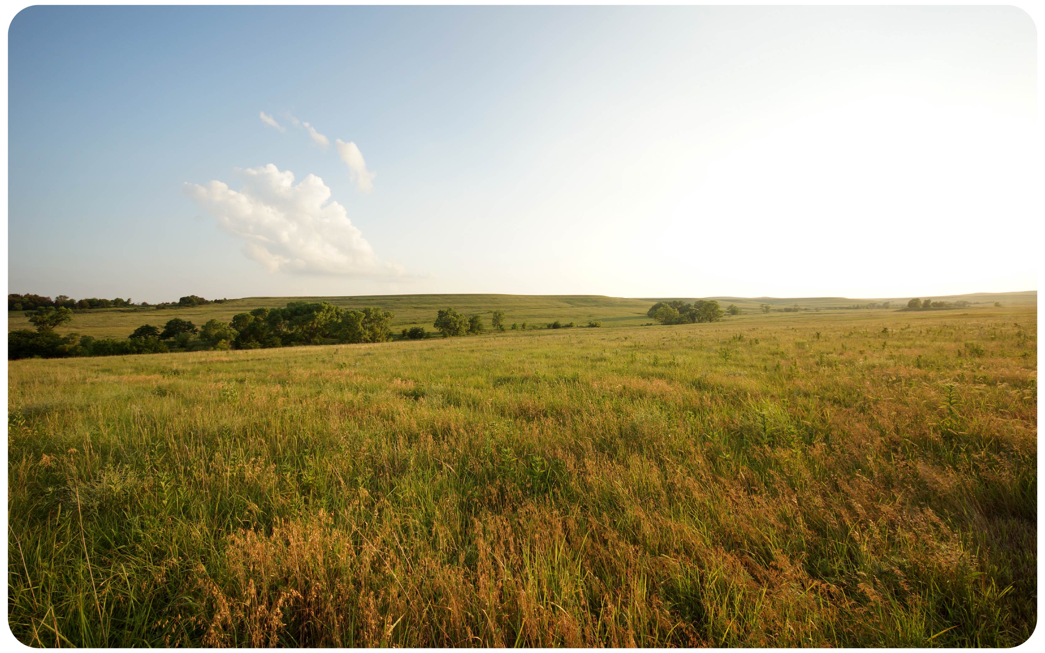 Is It Too Late to Plant Native Seed in the Southwest?