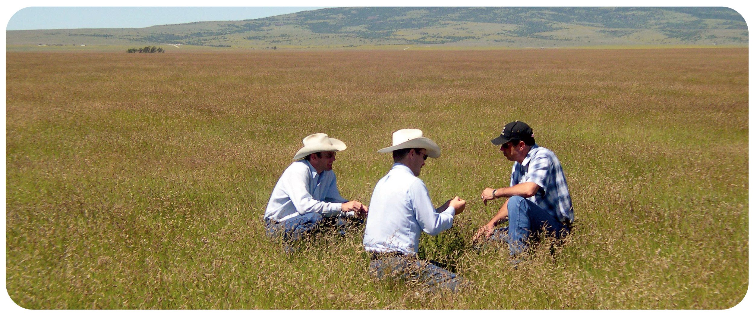 curtis and curtis team analyzing seeds in the field