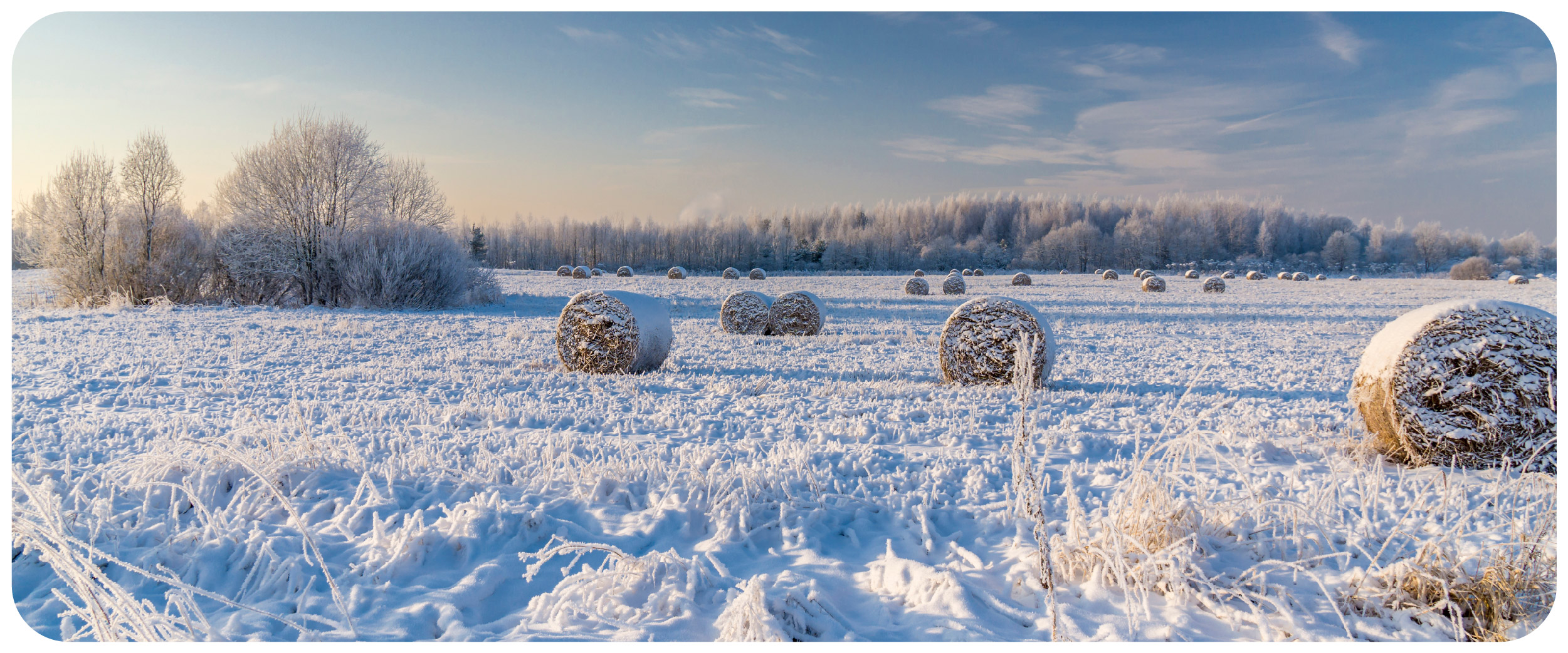 hay bales covered in snow in a field