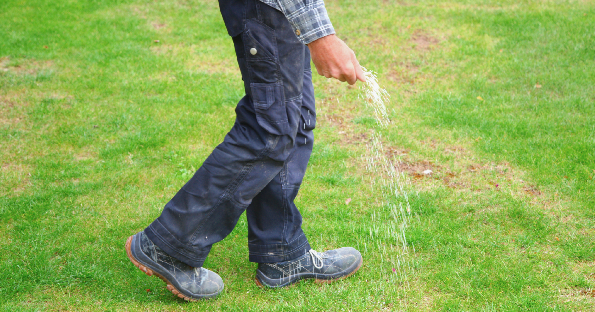 man spreading fertilizer on his lawn